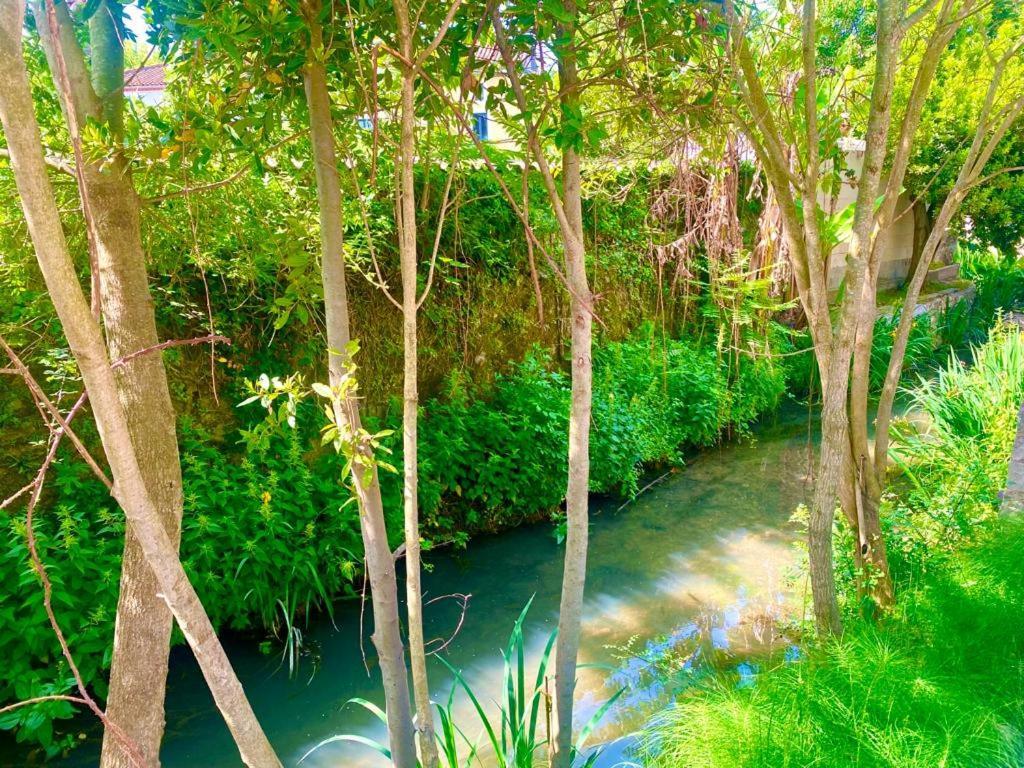 Domaine D'Ella Jourre Lägenhet Canet  Exteriör bild